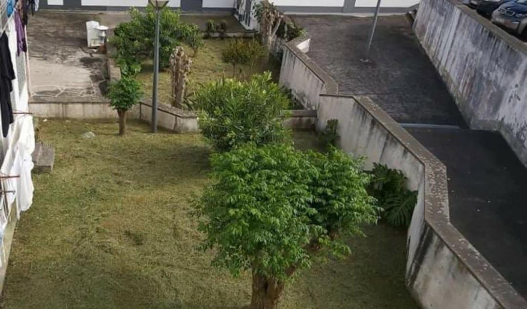 Apartamento Orquidea Понта Делгада Екстериор снимка
